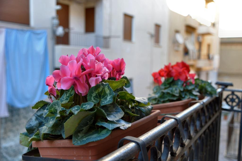Real Teatro Umberto I Bed & Breakfast Palermo Exterior photo